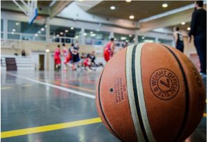 Sports Betting Online Gambling